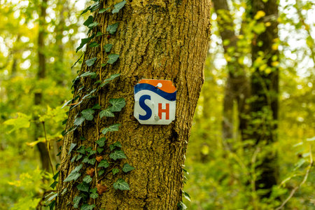 A colorful autumnal hike through the beautiful landscape of the Saale Horizontale near Jena - Thuringia - Germanyの写真素材