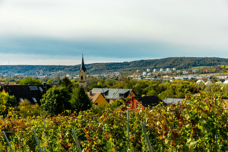A colorful autumnal hike through the beautiful landscape of the Saale Horizontale near Jena - Thuringia - Germanyの写真素材