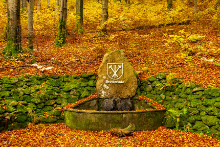 An autumn cycle tour through the Thuringian Forest on the Mommelstein cycle path between Schmalkalden and Brotterode - Thuringia - Germanyの写真素材