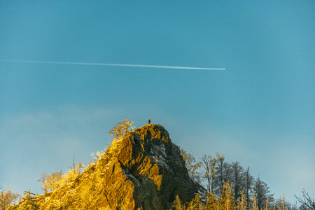 Winter hike through the Thuringian Forest near Oberhof at blue hour - Thuringia - Germanyの写真素材
