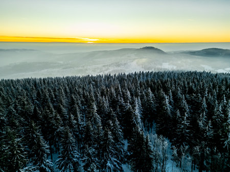 Winter hike through the Thuringian Forest near Oberhof at blue hour - Thuringia - Germany
