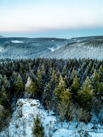 Winter hike through the Thuringian Forest near Oberhof at blue hour - Thuringia - Germanyの写真素材