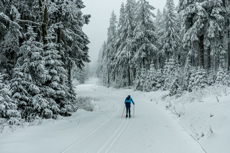 Winter hike through the Thuringian Forest near Oberhof and Kanzlersgrund in wintry weather - Thuringia - Germanyの写真素材