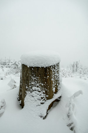 Winter hike through the Thuringian Forest near Oberhof and Kanzlersgrund in wintry weather - Thuringia - Germanyの写真素材
