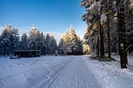 Romantic winter hike to the highest peak of the Rennsteig - the Schneekopf near Schmiedefeld in the evening light - Thuringia - Germanyの写真素材