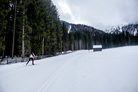 A round of cross-country skiing in the South Tyrolean arena of Antholz in the beautiful Antholz Valley - South Tyrol - Italyの写真素材