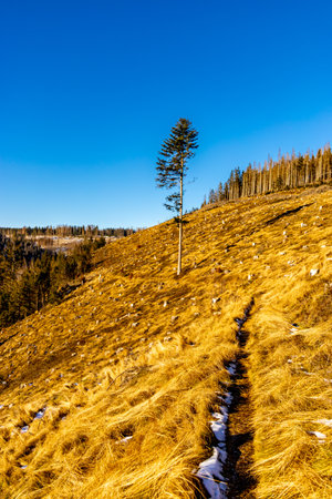 Winter hike in the town of Lauscha to the town on the Rennsteig Neuhaus am Rennweg - Thuringia - Germanyの写真素材