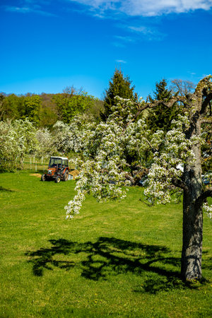 Springtime walk on a glorious sunny day in the Thuringian RhÃ¶n near HÃ¼mmershausen - Thuringia - Germanyの写真素材