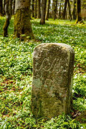 Springtime walk on a glorious sunny day in the Thuringian RhÃ¶n near HÃ¼mmershausen - Thuringia - Germanyの写真素材