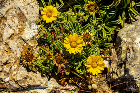 Traveling to the south-western tip of the European mainland at Cabo de SÃ£o Vicente near Sagres in the beautiful Algarve - Portugalの写真素材