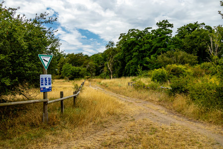 Hike through the beautiful Schwanheim Dunes just outside the Main metropolis of Frankfurt am Main...