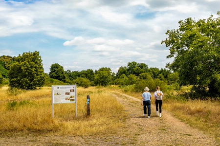 Hike through the beautiful Schwanheim Dunes just outside the Main metropolis of Frankfurt am Main â Hesse â Germanyの写真素材