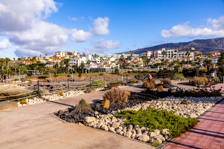 Late summer feeling on the Canary Island of Tenerife in the holiday resort of Costa Adeje - Spainの写真素材