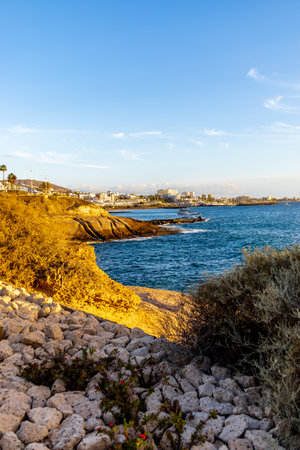 Late summer feeling on the Canary Island of Tenerife in the holiday resort of Costa Adeje - Spainの写真素材