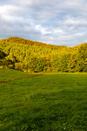 A beautiful little hike through autumn in the south-west of the Thuringian Forest around Schmalkalden  Thuringiaの写真素材