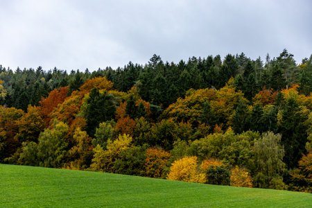 A beautiful little hike through autumn in the south-west of the Thuringian Forest around Schmalkaldenの写真素材