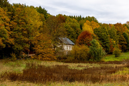 defaultA beautiful little hike through autumn in the south-west of the Thuringian Forest around Schmalkalden â Thuringia â Germanyの写真素材