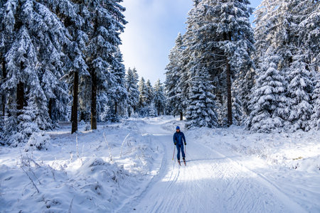 Winter wonderland in the Thuringian Forest in the winter sports resort of Oberhof am Rennsteig â Thuringia â Germanyの写真素材