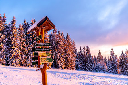 Winter wonderland in the Thuringian Forest on the Neuhoefer Wiese meadow on the Rennsteig trail at sunset - Thuringia - Germanyの写真素材