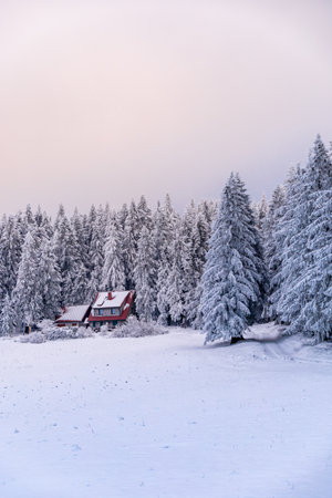 Winter wonderland in the Thuringian Forest on the Neuhoefer Wiese meadow on the Rennsteig trail at sunset - Thuringia - Germanyの写真素材