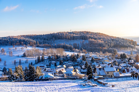 Winter wonderland in the Thuringian Forest on the Neuhoefer Wiese meadow on the Rennsteig trail at...