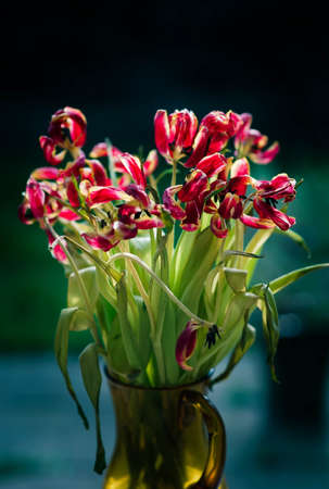 Flowers in a vase sitting in the garden.