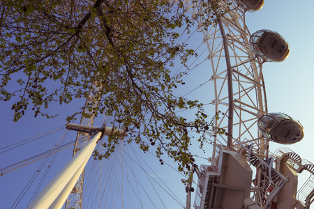 A tree on the South Bank with the London Eye in the backgroundのeditorial素材