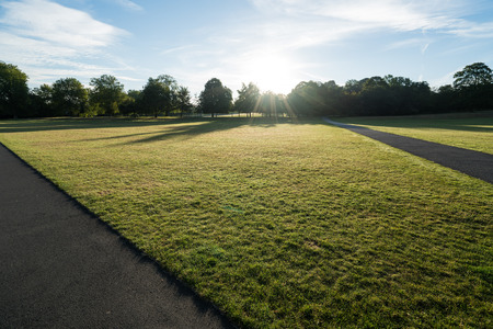 A field and path in Greenwich park at sunrise.