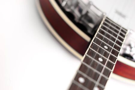 Photograph of a banjo with selective focus on fretsの写真素材
