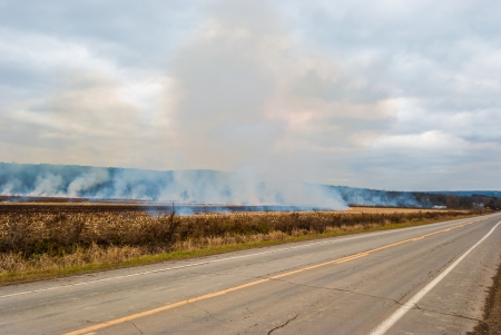 Photograph of a controlled agricultural burn set to clear a field after the crops had been harvested.の写真素材