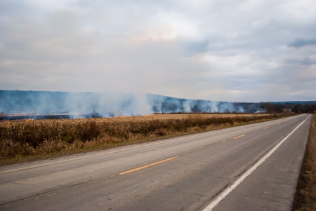 Photograph of a controlled agricultural burn set to clear a field after the crops had been harvested.の写真素材
