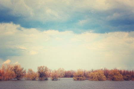 Floodplains of  River Zagyva in winterの写真素材