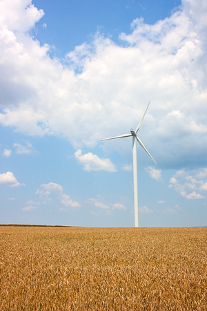 Windturbine wheat field next to source of clean energy