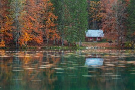 Wooden lodge standing at the edge of an autumnal forest reflected in the lake's water