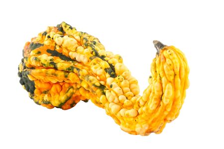 single pumpkin, isolated on white backgroundの写真素材