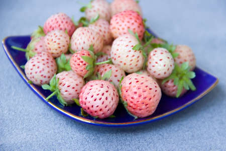 Blue dish with pineberries is on a gray background.の写真素材