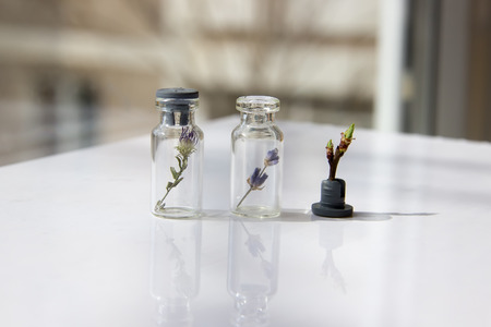 Two glass jars with flowers inside and a flower next to white table closeup.の写真素材