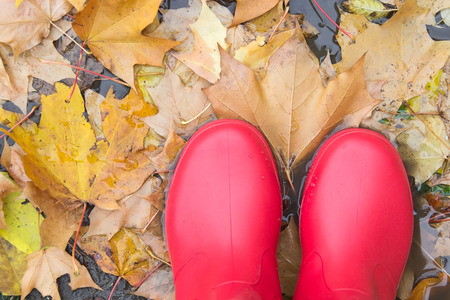 Red rubber boots in a puddle and autumn leaves top view.の写真素材
