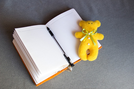Teddy bear and the open notebook and pen on a gray table.の写真素材