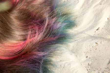 Painted in different colors hair on the sand close up.の写真素材