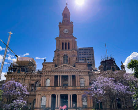 historic Paddington Town Hall clock tower under blue skyの写真素材