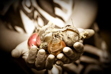 harvestingの写真素材