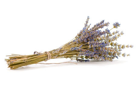bunch of lavender (lavandula angustifolia) over a white backgroundの写真素材