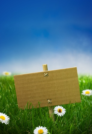 cardboard sign in a green garden grass, nature background, empty blue sky some daisies flowers and a ladybirdの写真素材