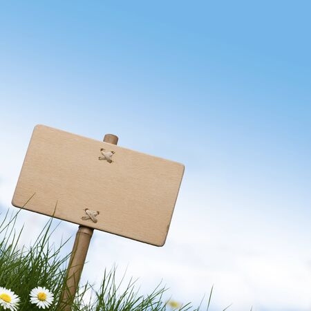 blank wooden sign and green grass with daisies flowers, blue sky and room for text at the topの写真素材