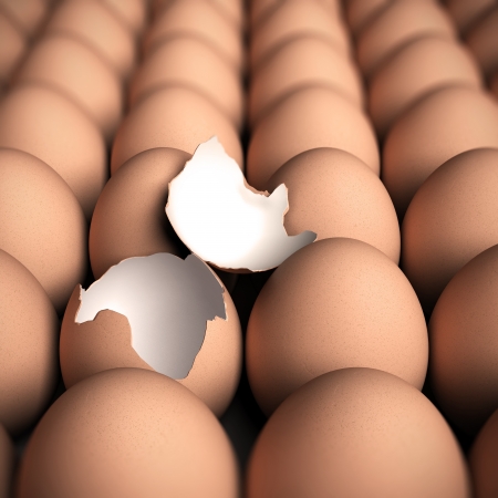 Lot of eggs with only one openの写真素材