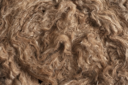 Close up of a glass wool roll for insulation purpose, side view with detailsの写真素材