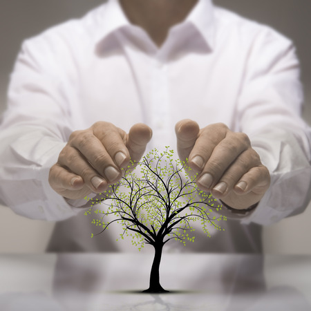 Two hands above a tree drawing. Environmental protection conceptの写真素材