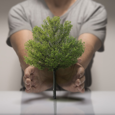 Two hands around a small tree, symbol of ecology or environmental protection.の写真素材