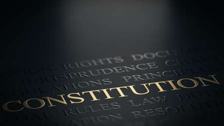 Word constitution witten with golden letters over black background. 3d illustration.